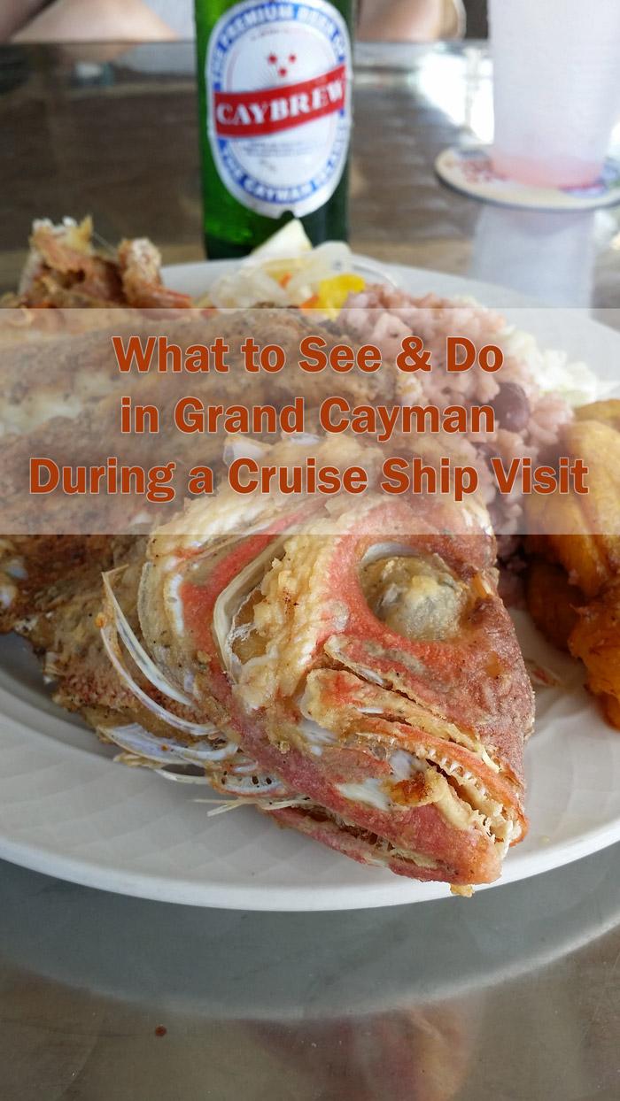 what to see and do in grand cayman on a cruise ship visit