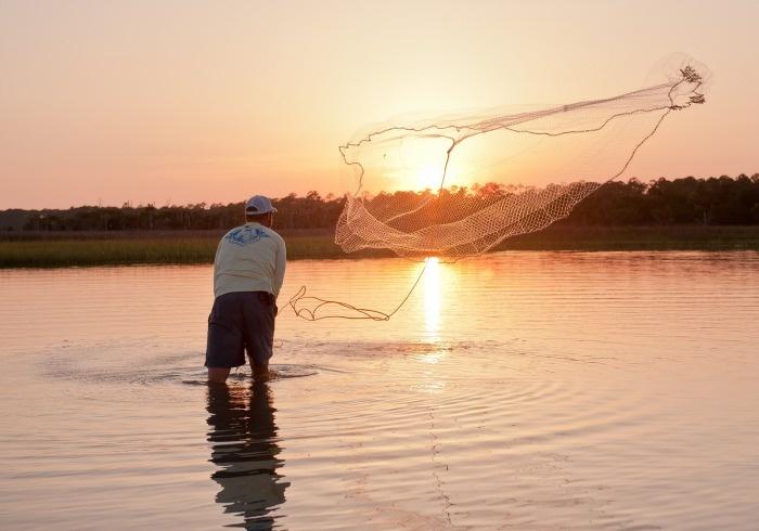 net casting