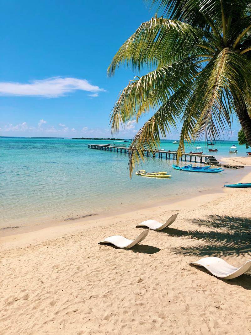 beach french polynesia moorea