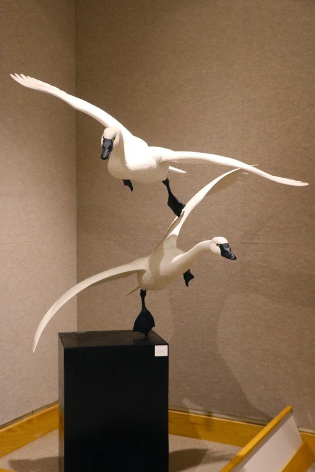 geese at ward museum wildfowl art