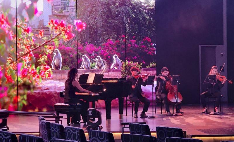 lincoln center stage quartet bbc earth