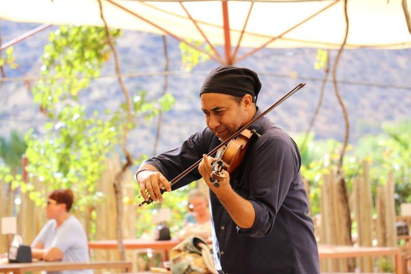violin player at casa dona lupe