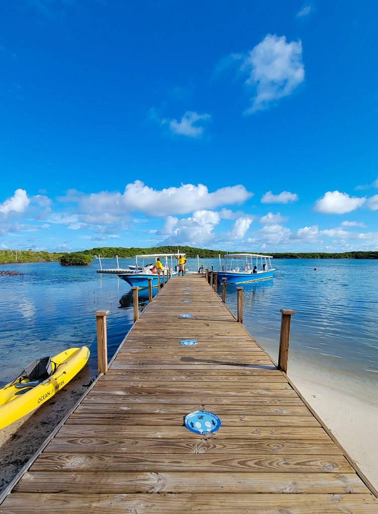 eco lagoon tour