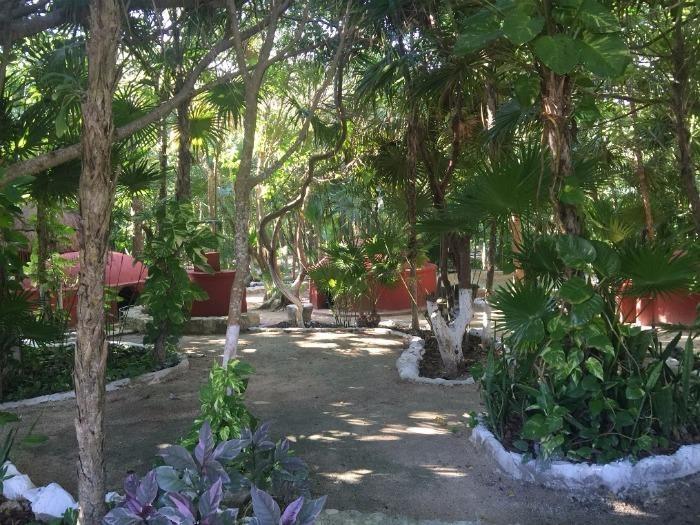 temazcal huts