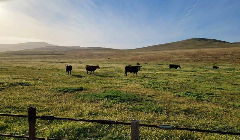 ranch next to parking lot at hitching post
