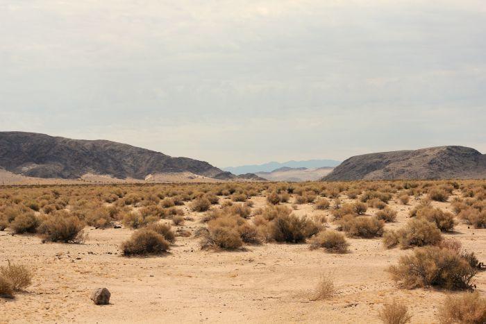 death valley california desert baker