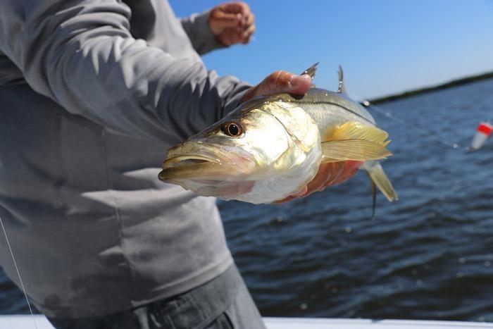 holding a fish responsibly