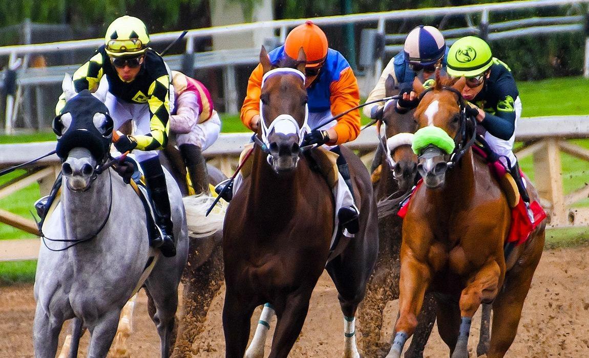 how to bet on horse races