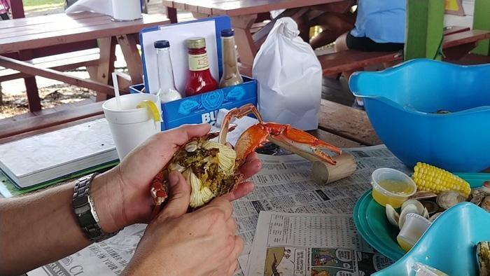 cleaning gills and guts from blue crab