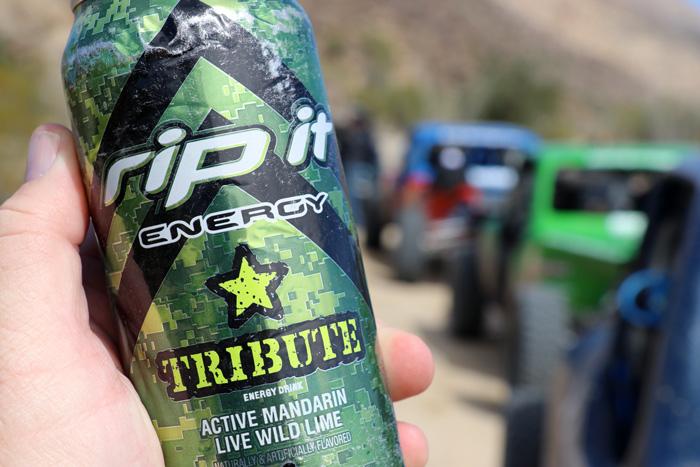 tribute active mandarin rip it energy keeps you going in baja