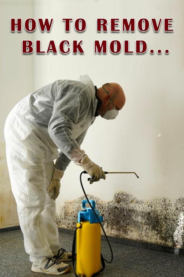 how to remove black mold caused by water damage