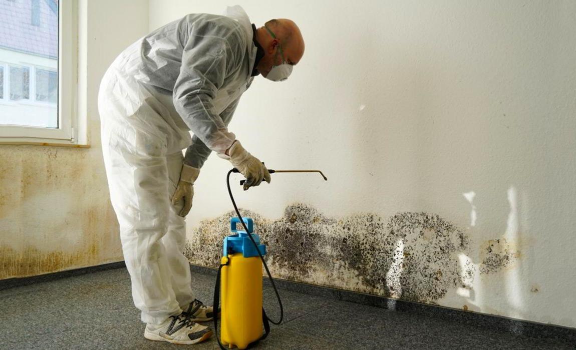 how to remove black mold