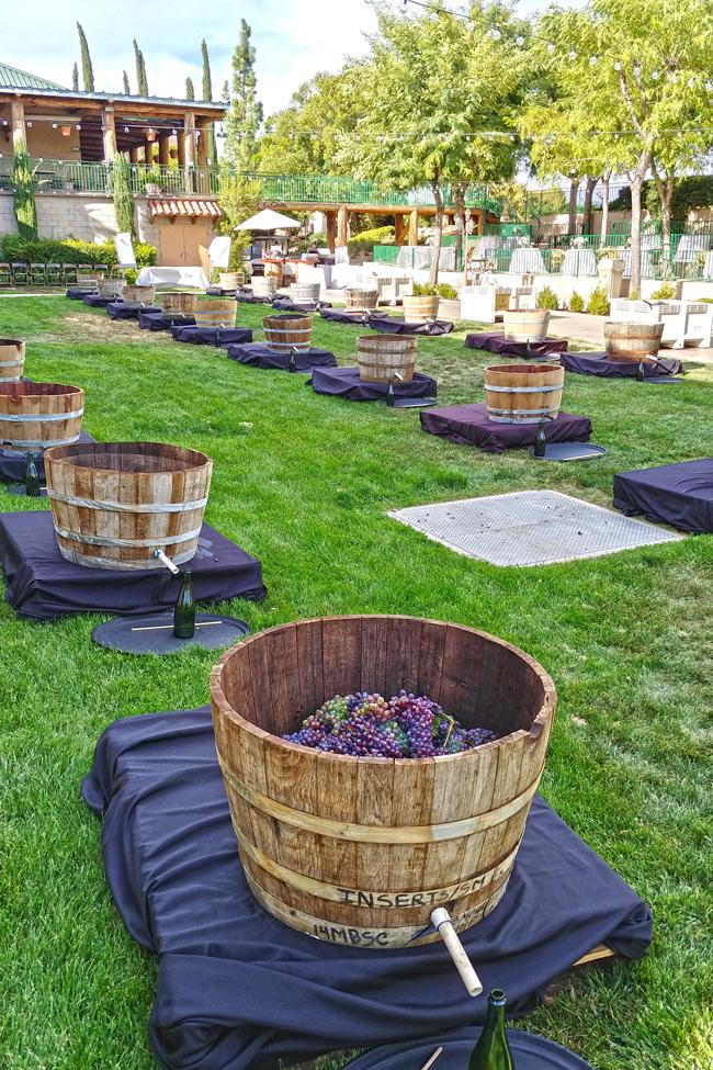 how to win a grape stomp contest