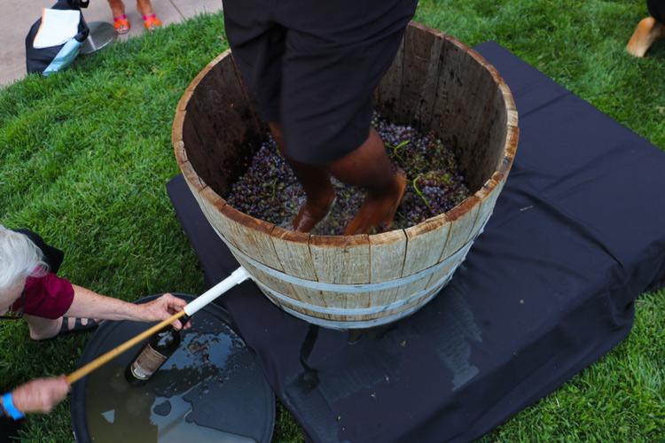 stomping grapes