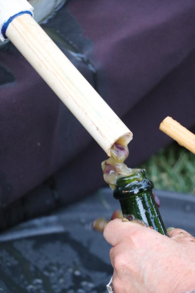 try to avoid stems and skins