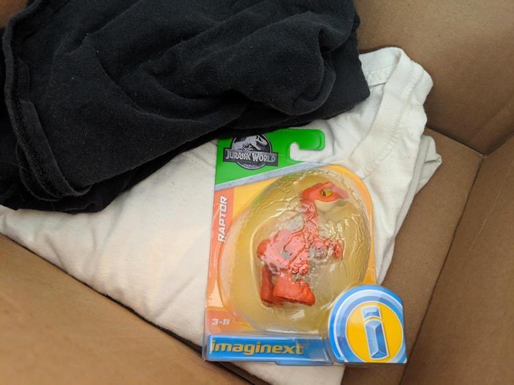 hide your imaginext raptor in box with underwear