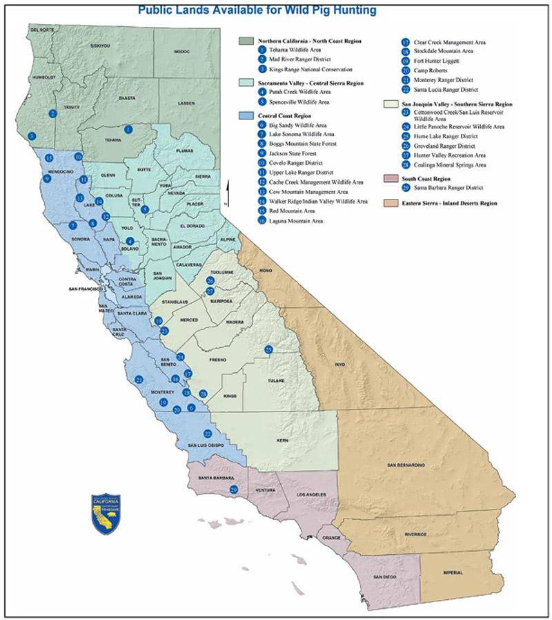 california public lands available for hog hunting