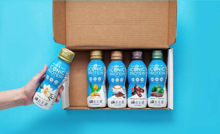 iconic protein drink sampler pack