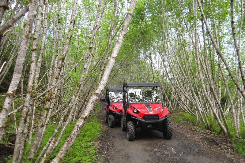atv tour icy strait point alaska