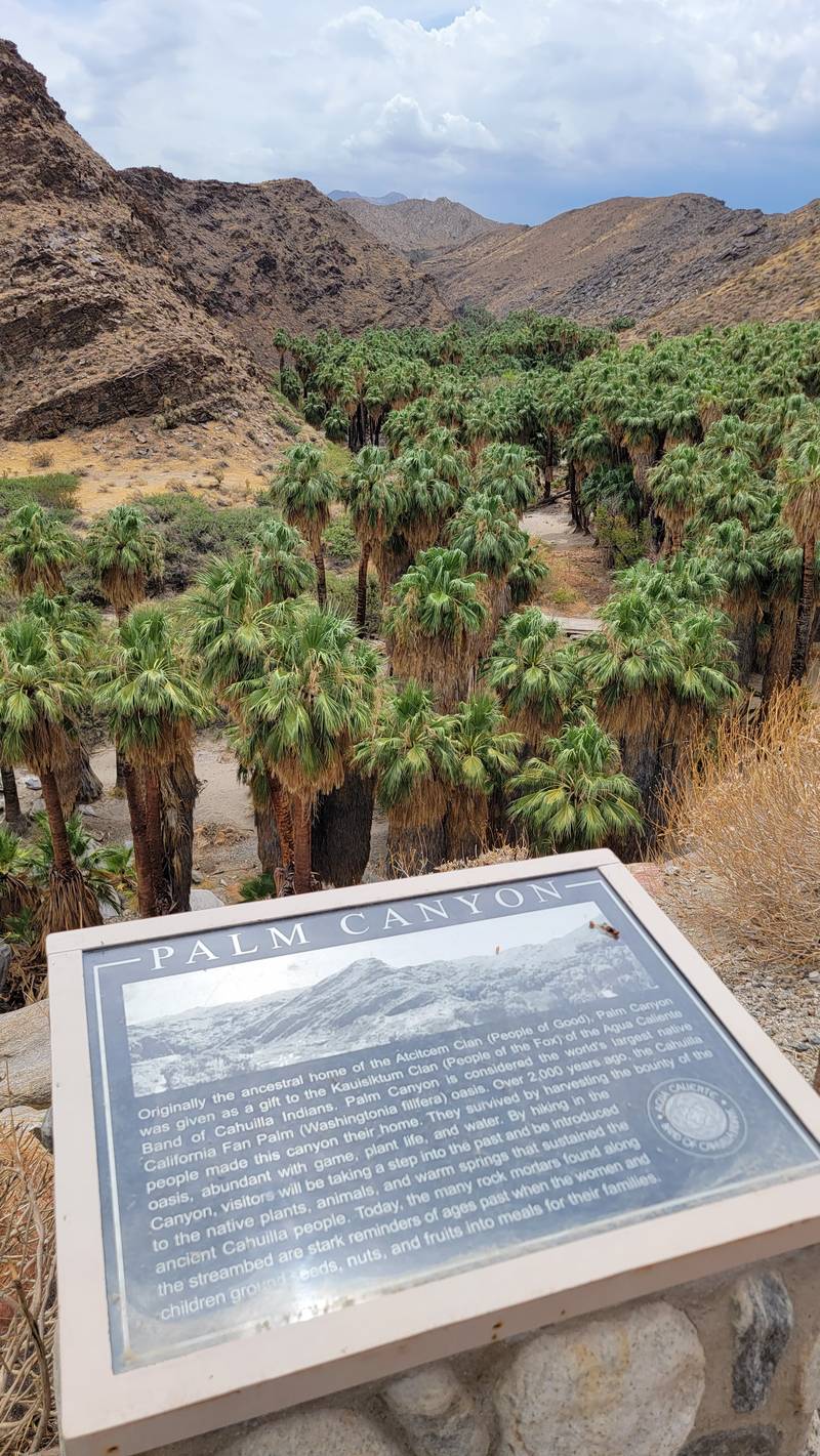 Palm Canyon - Agua Caliente