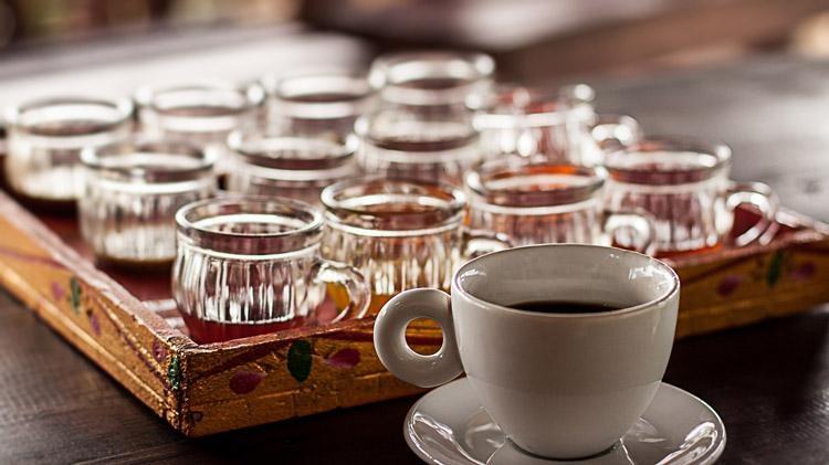 civit cat poo coffee kopi luwak indonesian coffee tasting