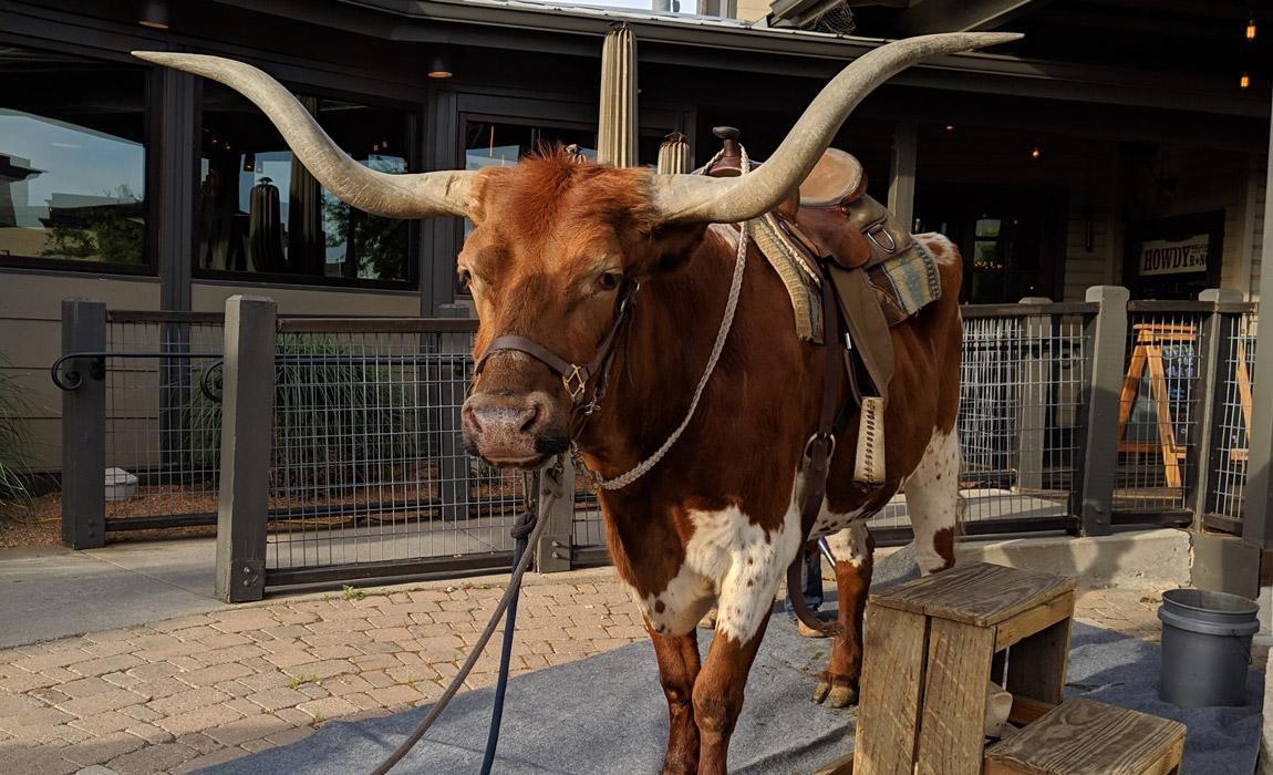 Irving Texas Guys Weekend Ideas