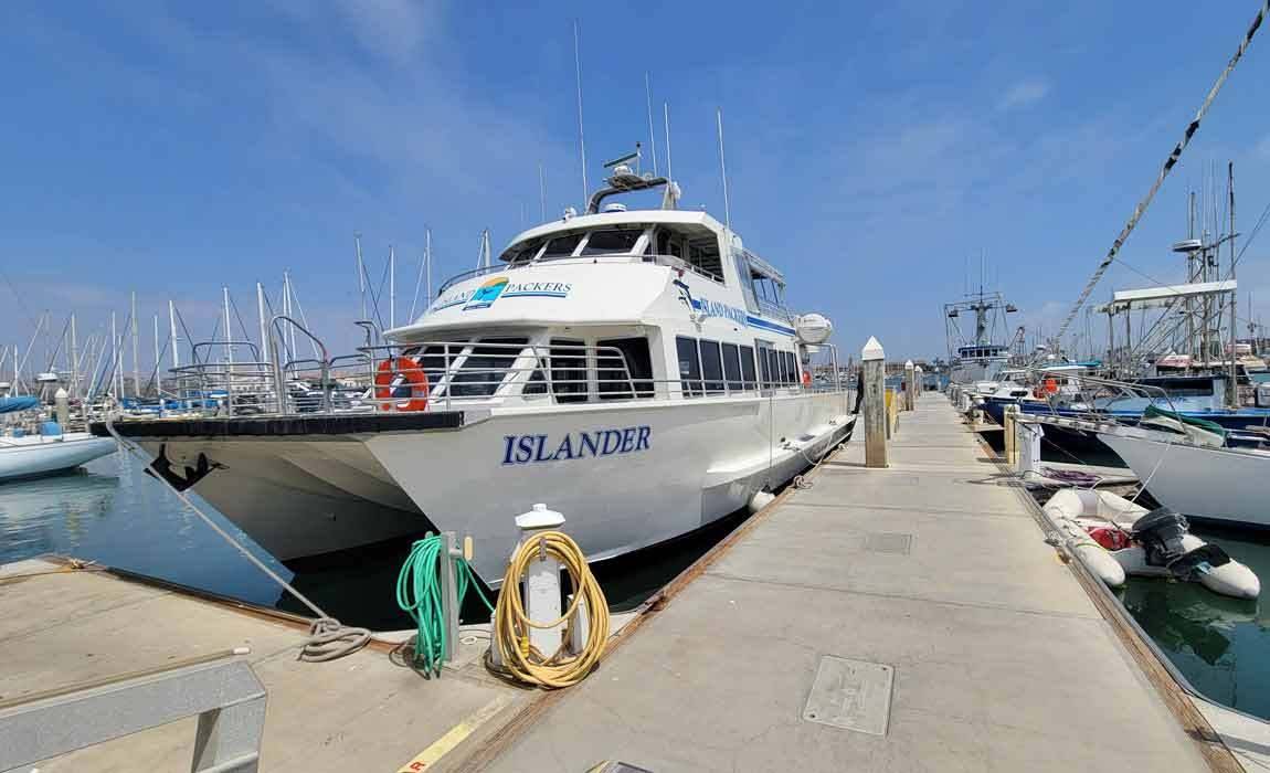 Whale watching with Island Packers cruises