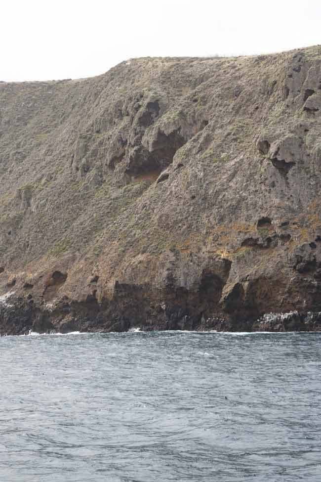 santa cruz island channel islands