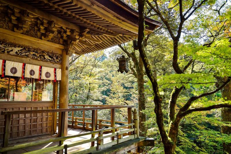 japan meditation tea garden