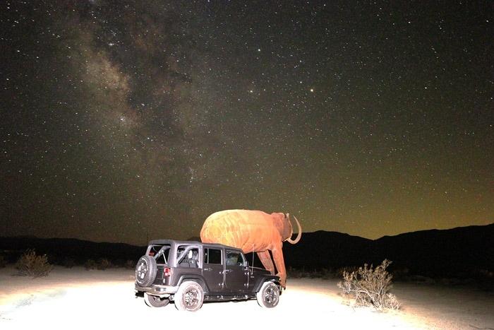 wrangler under the stars elephant