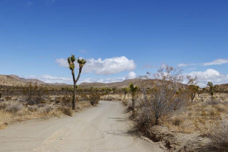 queen valley road joshua tree