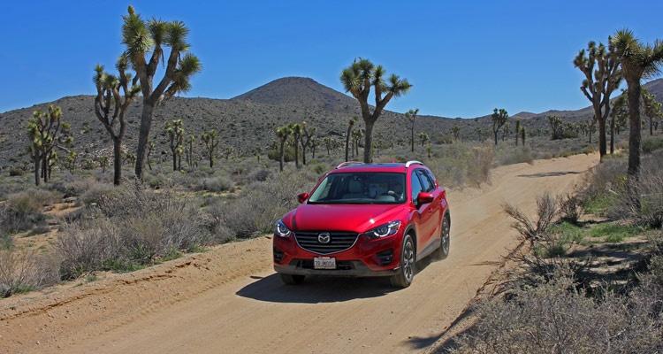driving through joshua trees