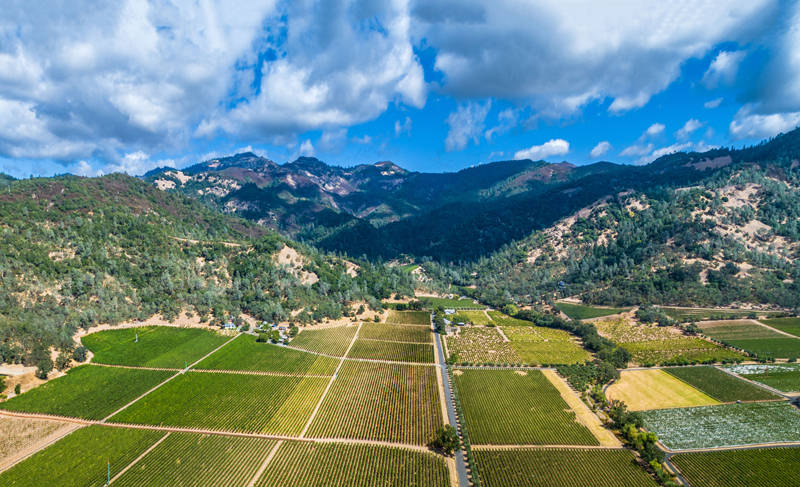 kenefick ranch vineyard calistoga ava napa valley california