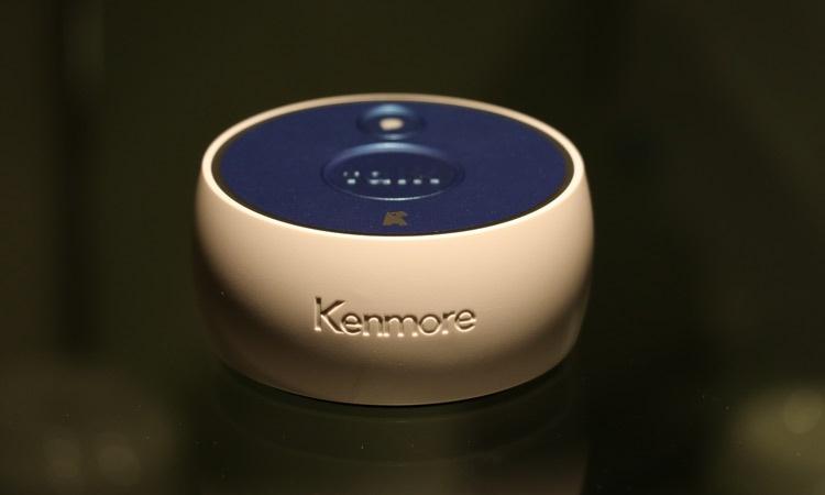 Kenmore Alfie