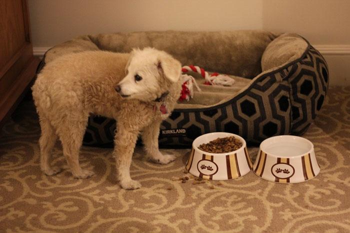 niki eating room
