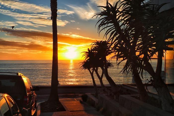 sunset palms
