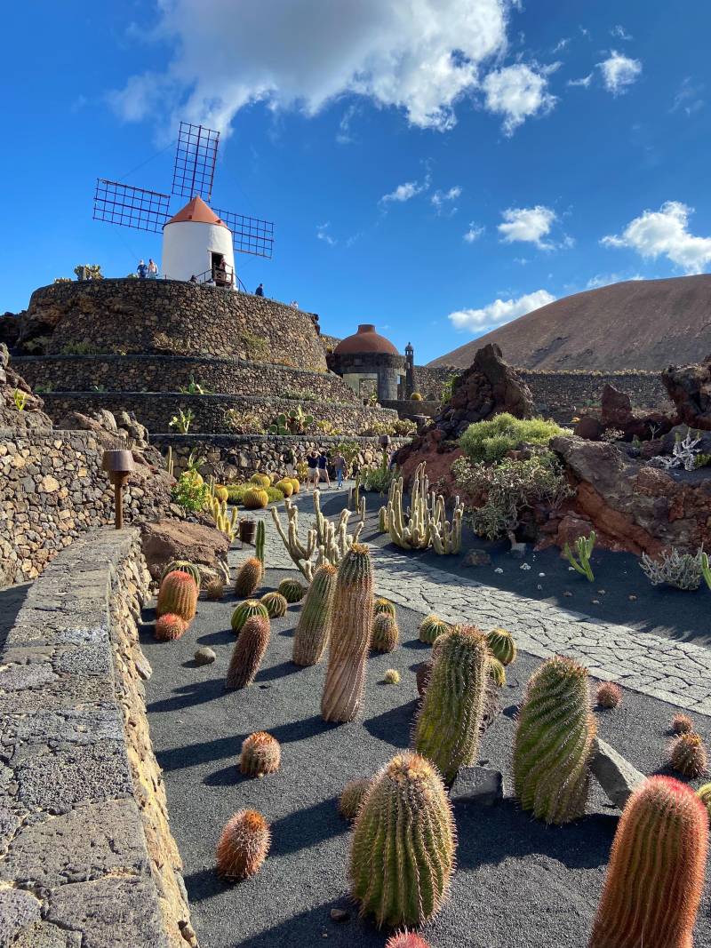 césar manrique cactus garden lanzarote