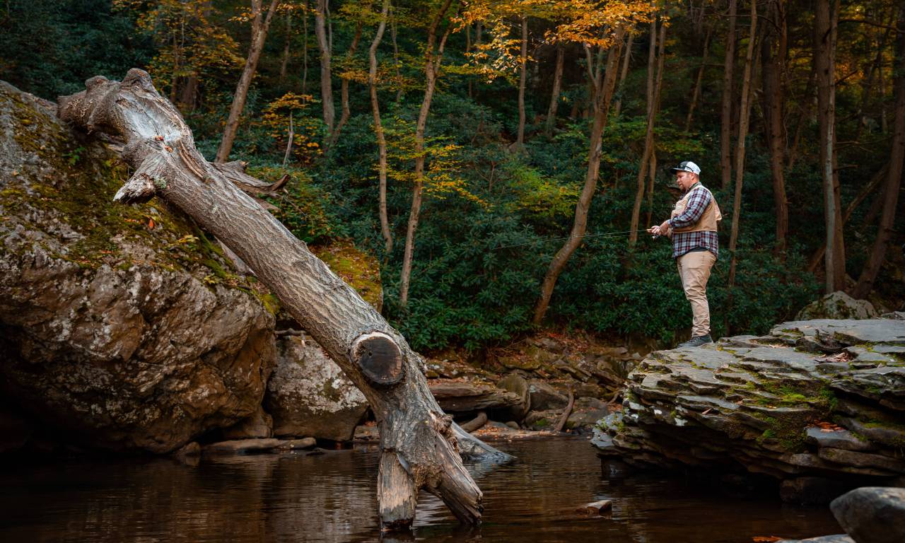 fishing in