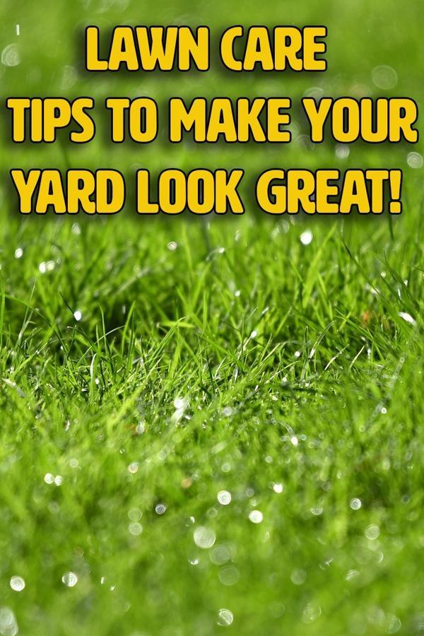 lawn care tips to make your yard look great