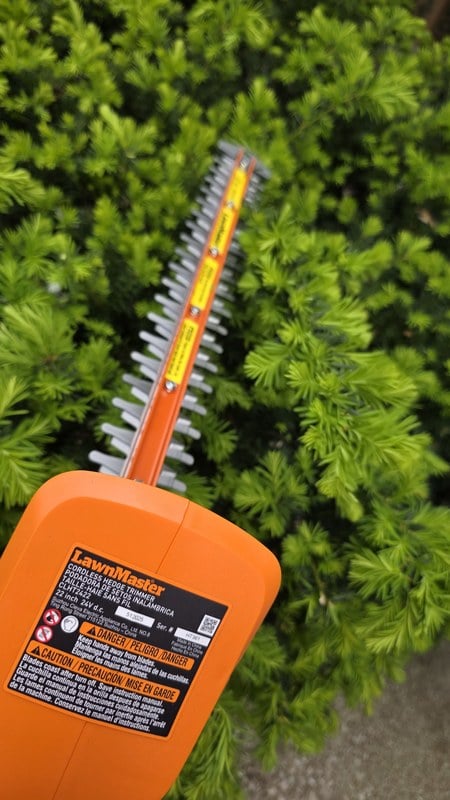 Close-up of the LawnMaster CLHT2422 22-inch hedge trimmer blade against a yew bush showing the model number label and dual-action blade detail