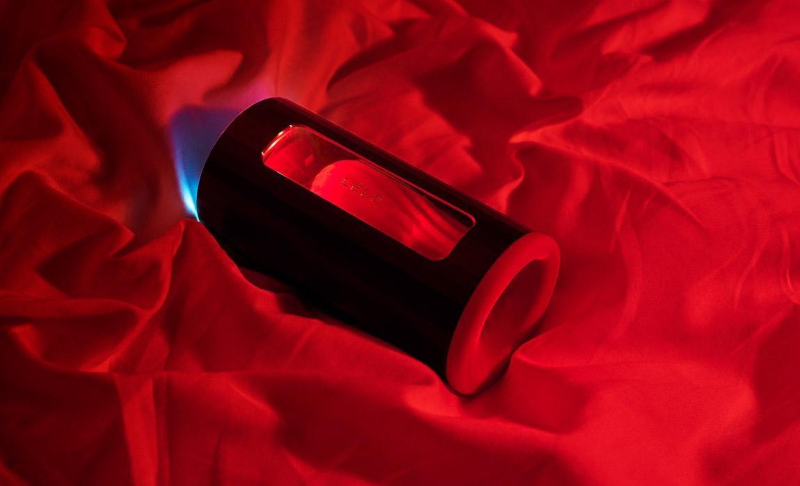 Lelo F1s Developer's Kit Review