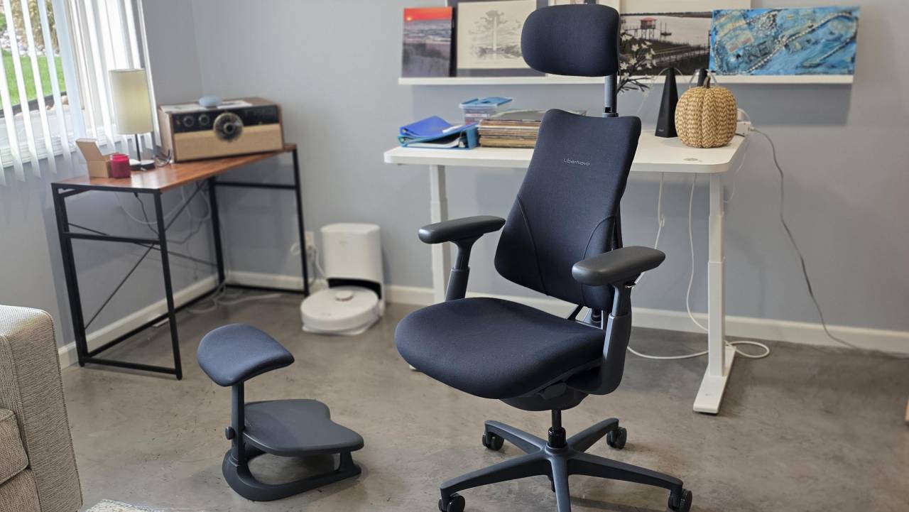 LiberNovo Omni ergonomic office chair review