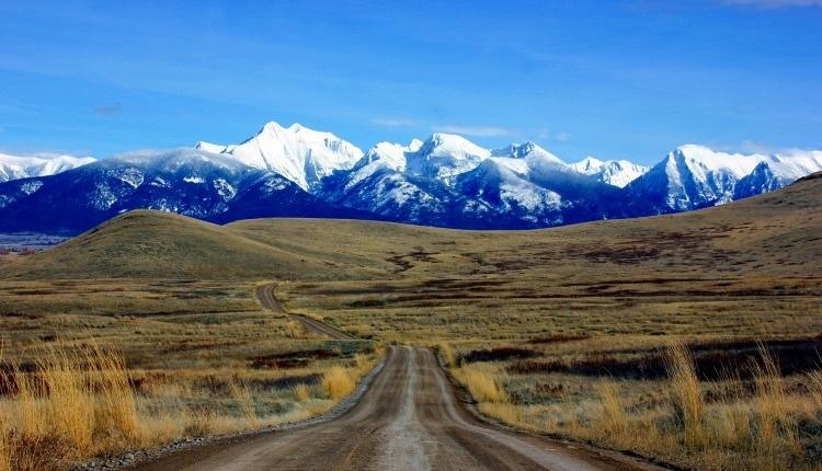 Montana is a Bold Choice