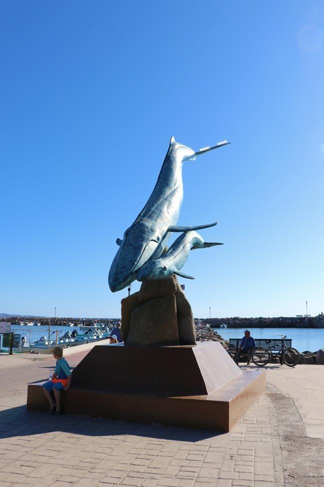 blue whale watching