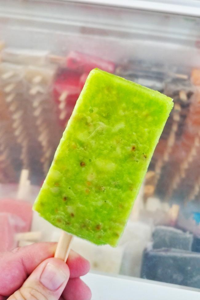 cactus popsicles paletas in loreto