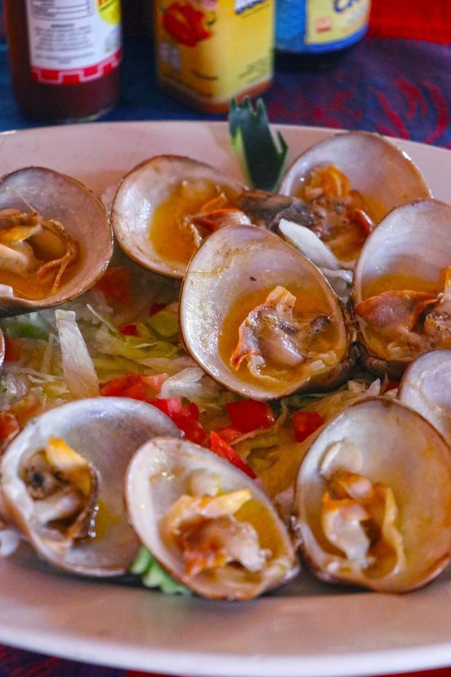 loreto chocolate clams at la palapa restaurant