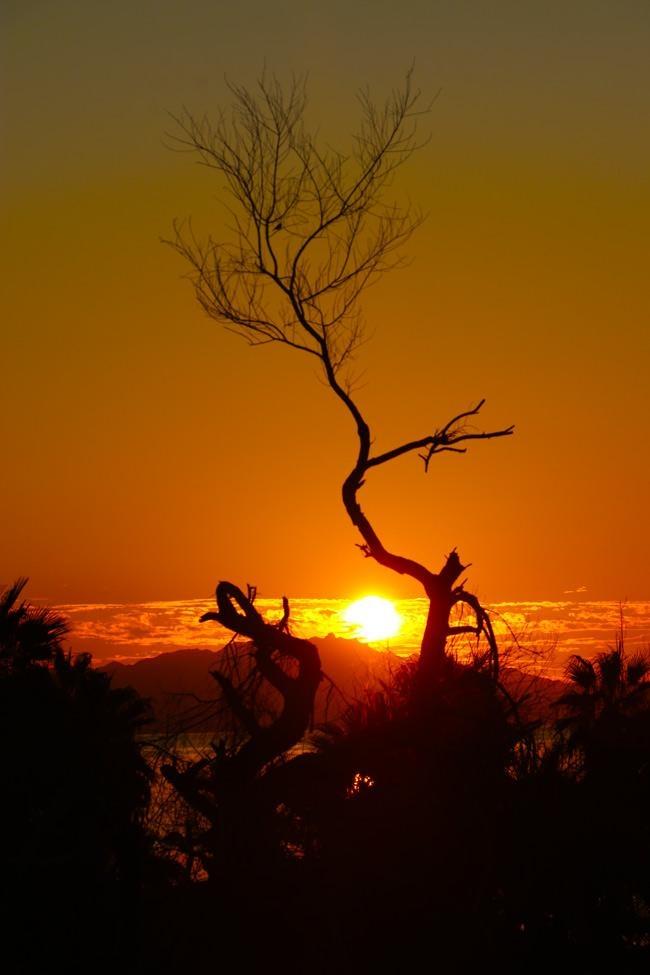 watch the sunrise over the sea of cortez