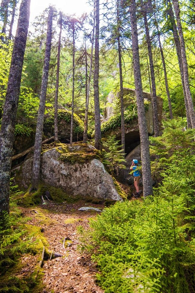 acadia national park in maine