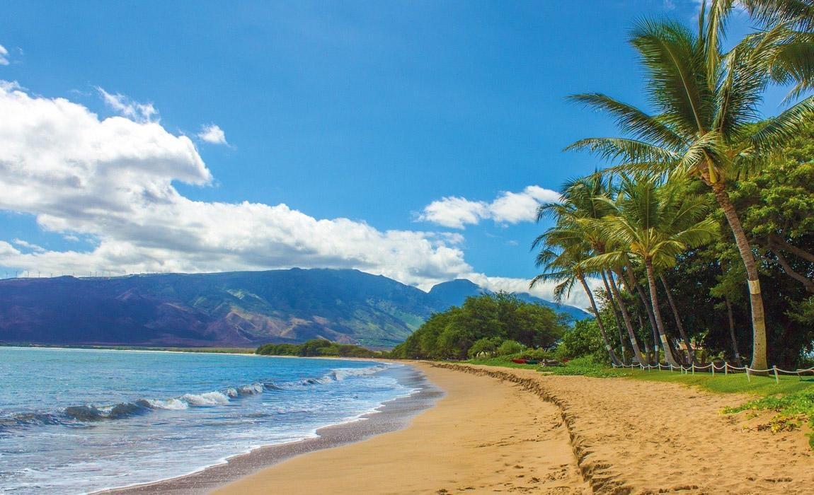 maui bachelor party ideas