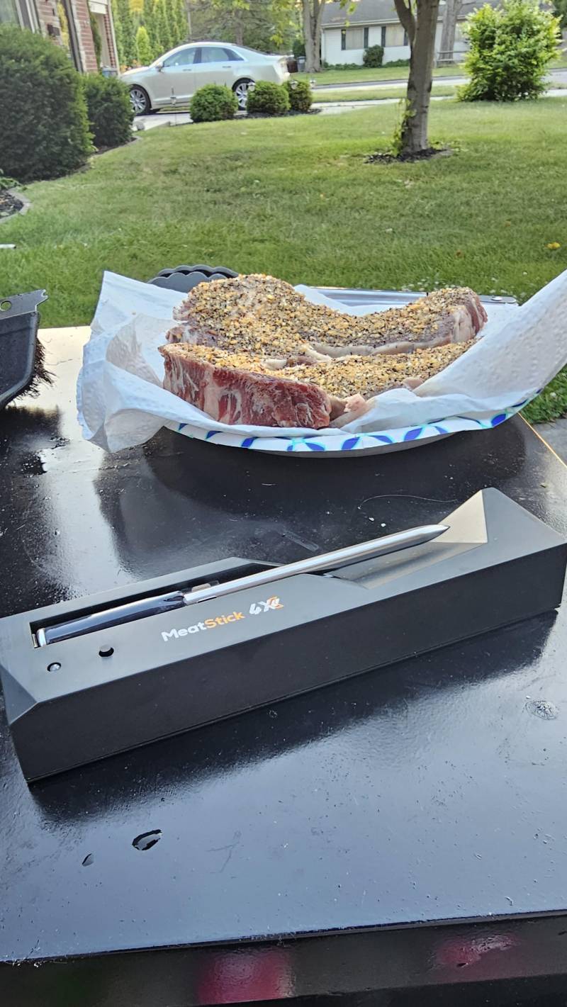 The MeatStick 4X Review: A Griller's New Best Friend